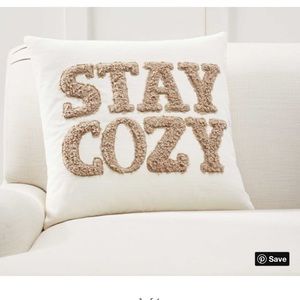 Stay Cozy Teddy Faux Fur Appliqué Pillow Cover